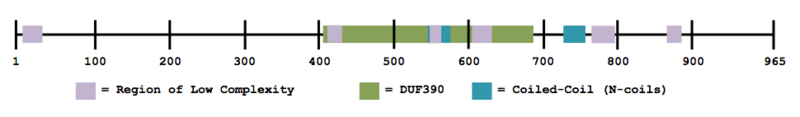 File:MGC50722 AASeq Features.png