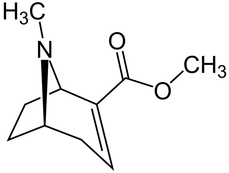 File:Methylecgonidine.png