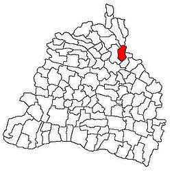 Location in Dolj County