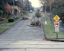 Chicane on a one-lane road