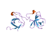 2df6: Crystal Structure of the SH3 Domain of betaPIX in Complex with a High Affinity Peptide from PAK2