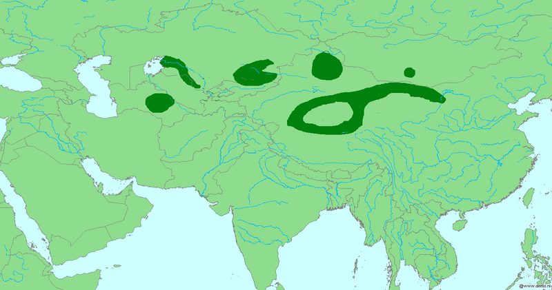 File:Passer ammodendri range.png