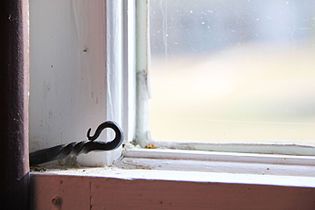 Shaker Window Detail, Shaker Village, Pleasant Hill, KY