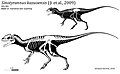 Sinotyrannus