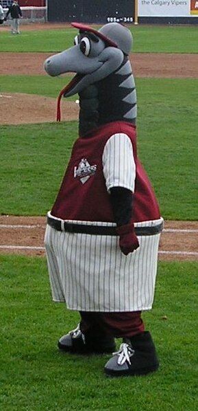 File:Slider (Calgary Vipers).jpg