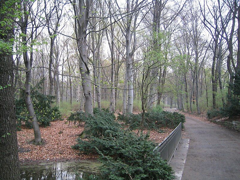 File:TiergartenWoods.jpg