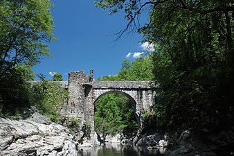 Looking downstream