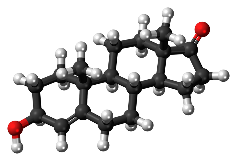 File:4-Dehydroepiandrosterone 3D ball.png