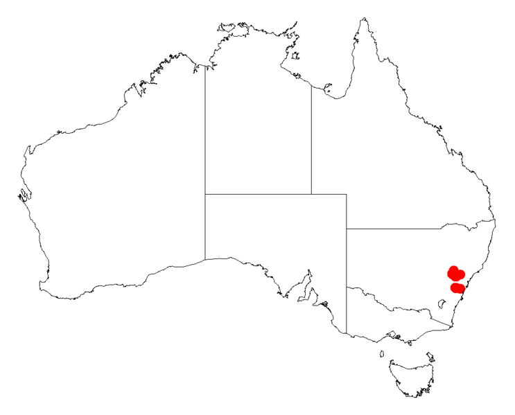 File:Acacia clandullensisDistMap192.png