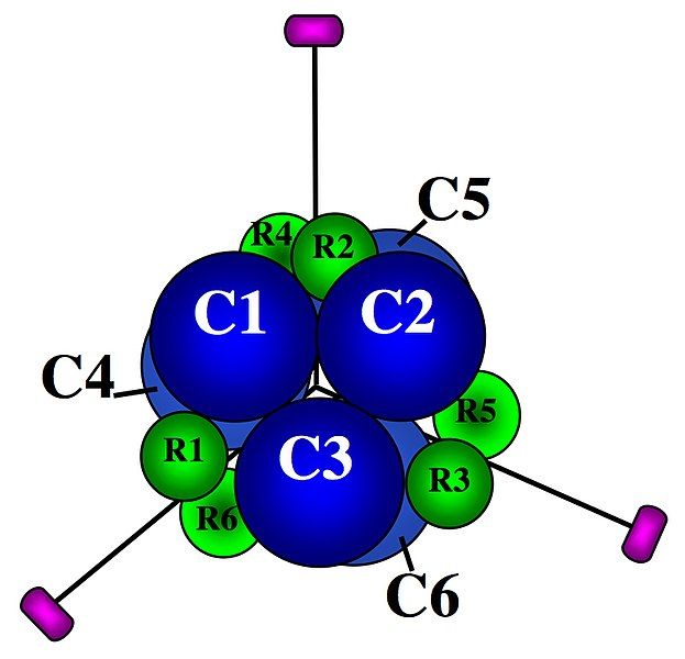 File:Aspartate carbamoyltransferase (ATCase).jpg