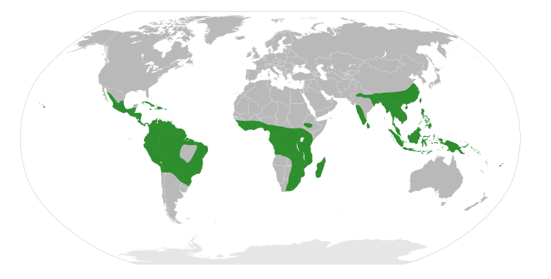 File:Begoniaceae Distribution Map.svg