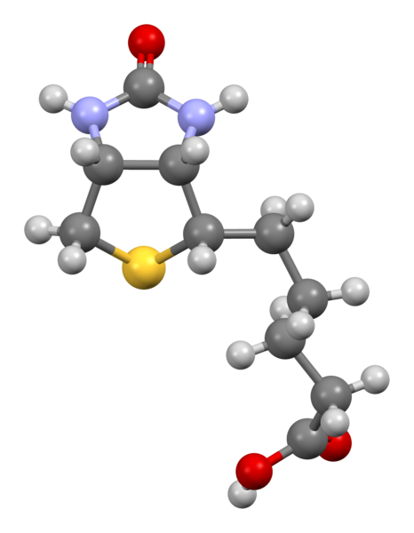 File:Biotin-view-1-from-xtal-Mercury-3D-balls.png