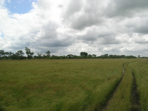 Bontioli Reserve