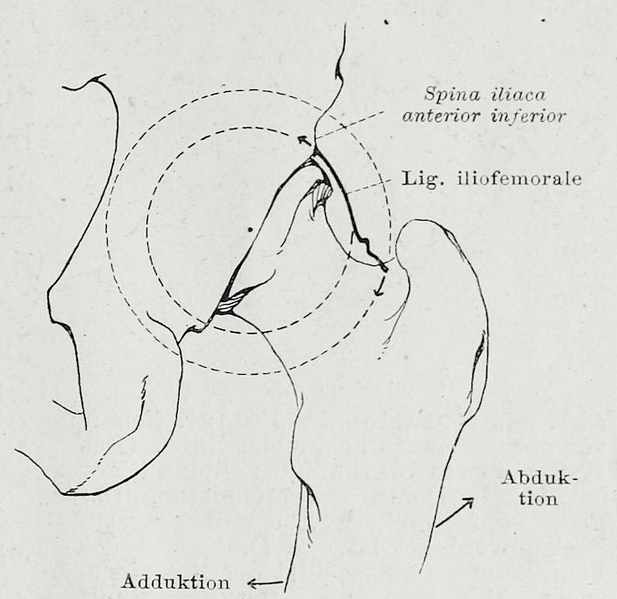 File:Braus 1921 264.png