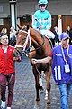 Monomoy Girl - Distaff