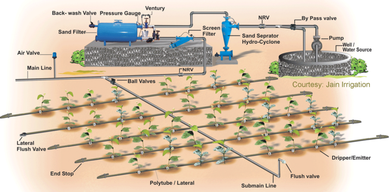 File:Dripirrigation.png