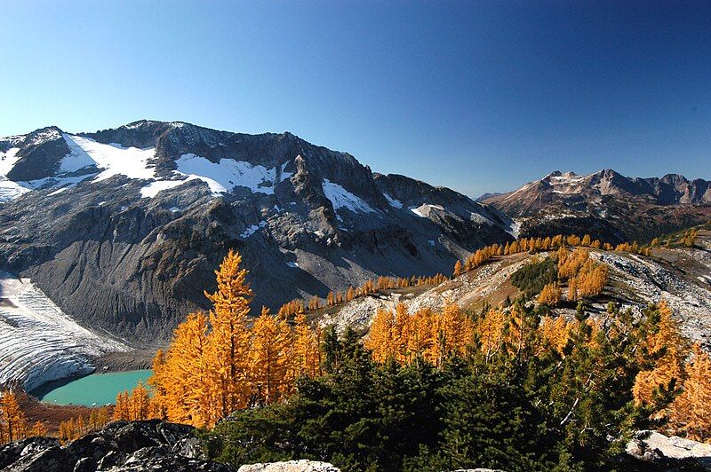 File:Glacier-Lyman-Tamarack.jpg