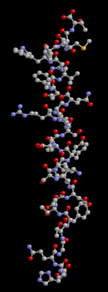 File:Glucagon.png