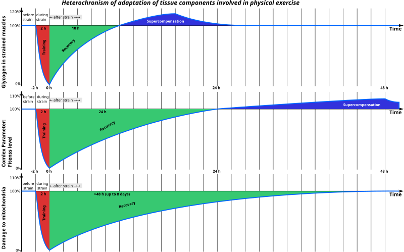 File:Heterochronism of adaptation.svg