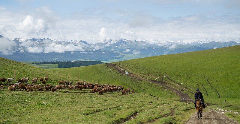 File:Kalajun Grassland.jpg