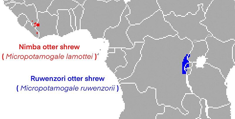 File:Micropotamogale Range.jpg