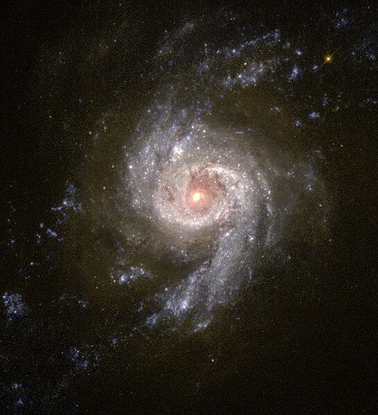 File:NGC 3310.jpg