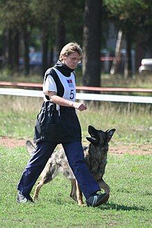 A woman and a German Sheperd walking.