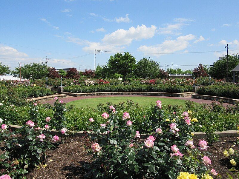 File:Ono rose garden.jpg