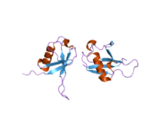 2gbj: Crystal Structure of the 9-10 8 Glycine Insertion Mutant of Ubiquitin.