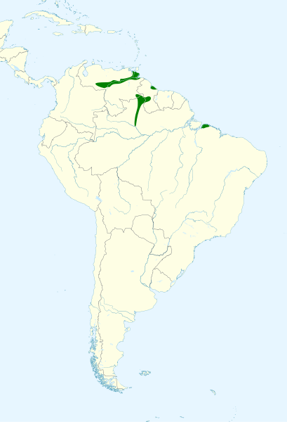 File:Picumnus spilogaster map.svg