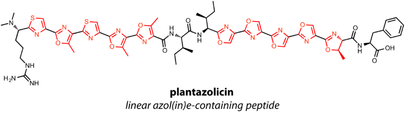 File:Plantazolicin RiPP.png