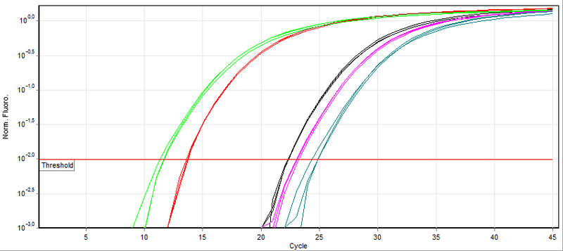 File:Qpcr-cycling.png