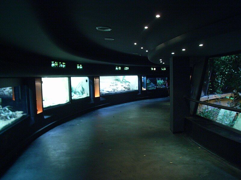 File:RettilarioBioparcoInterior.JPG