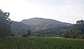 Cornfield near Runcu with the Tufoaia Mountain in the background