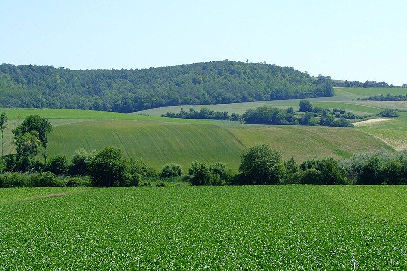 File:Steinabrunn Kreisgrabenanlage.jpg