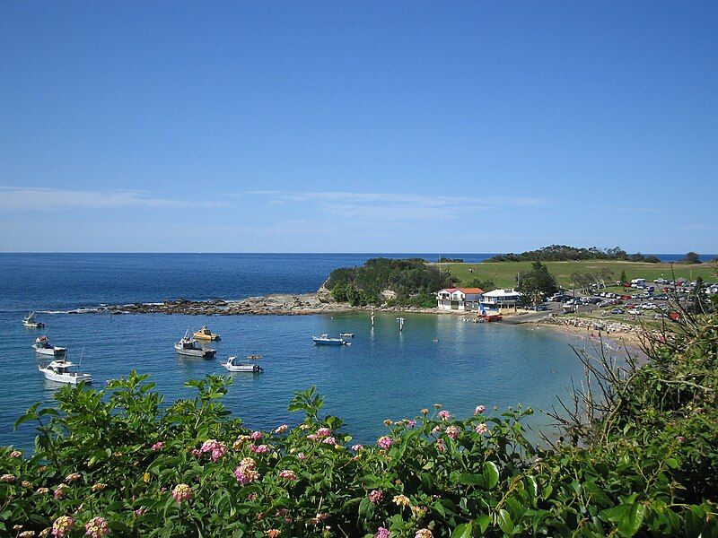 File:Terrigal Headland (262819010).jpg