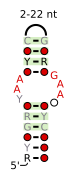 A consensus secondary structure and primary sequence for the UAA-GAN RNA motif.[10]