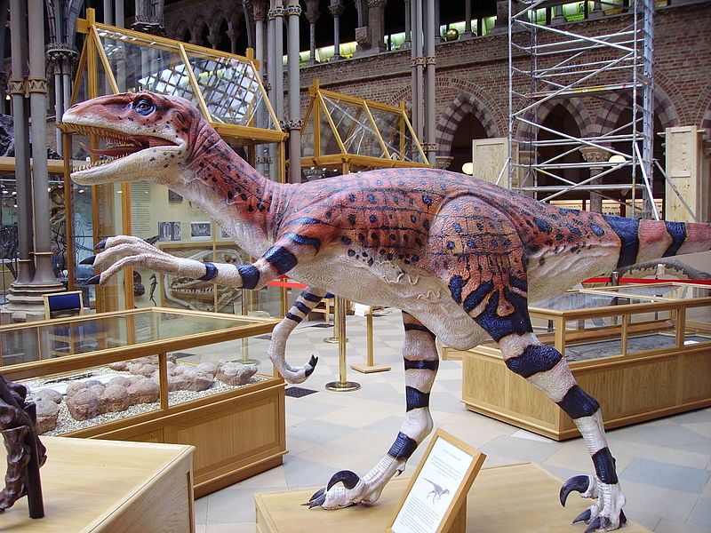 File:Utahraptor.JPG