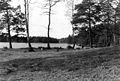 Virserum Lake, spring 1991.