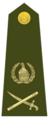 Shoulder rank, Lieutenant General (Zimbabwe National Army)