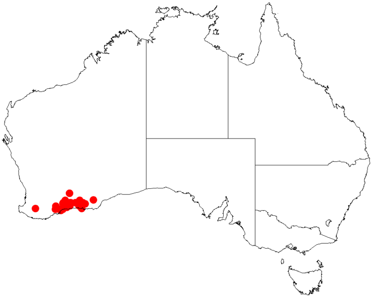 File:Acacia dermatophyllaDistMap278.png