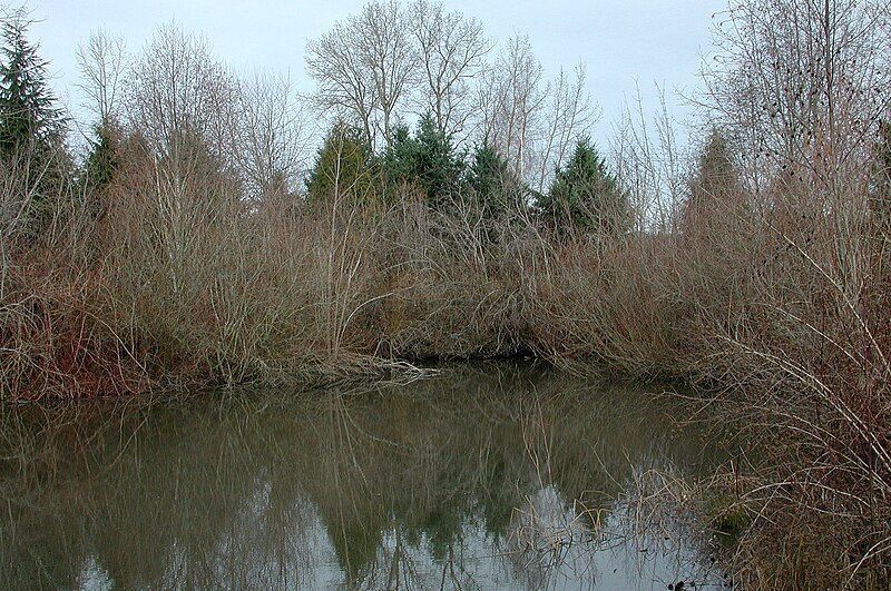 File:Blue lake pond.jpg