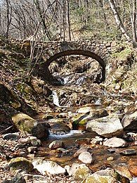 Picture of the Torrente Cavallizza, with a bridge in the background (Winter 2019)