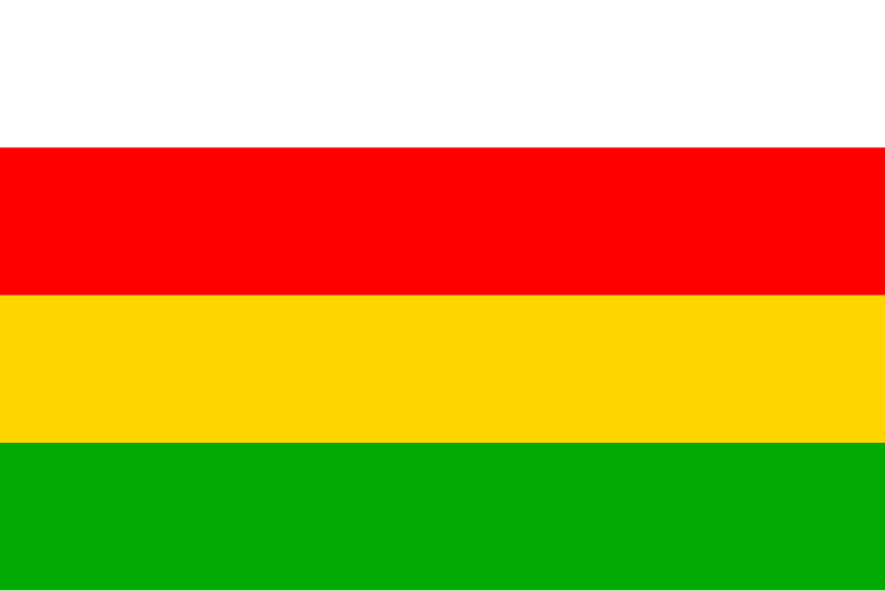 File:Flag of Palkovice.svg