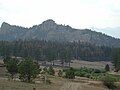 Fire damage as seen looking towards Turkey Rock