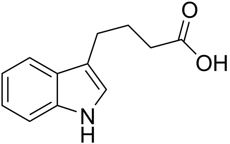 File:Indolebutyric acid structure.png