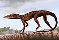 Litargosuchus leptorhynchus