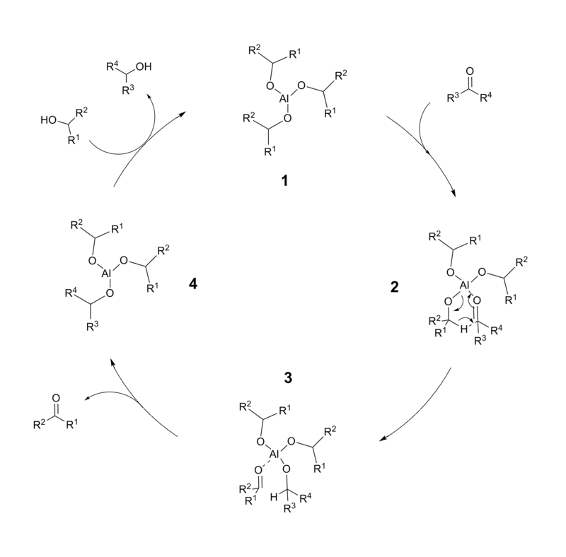 Meerwein-Ponndorf-Verley Reduction Catalytic Cycle