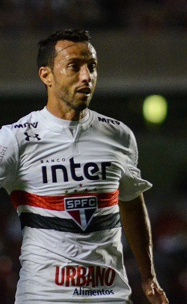 File:NeneSPFC2018B (cropped).jpg