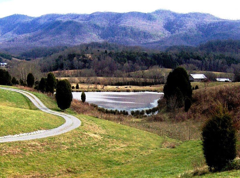 File:Retention-pond-wildwood-tn1.jpg